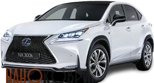 Автомобильные коврики ЭВА (EVA) для Lexus NX300h I правый (AYZ10) 2014- 