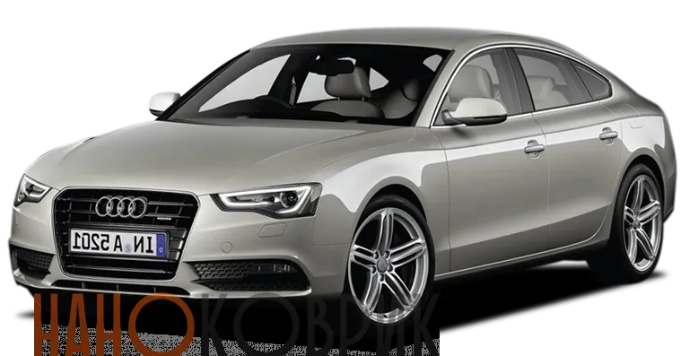Автомобильные коврики ЭВА (EVA) для Audi A5 I (T8 спортбек) 2007-2016 