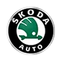 Коврики в машину для Skoda